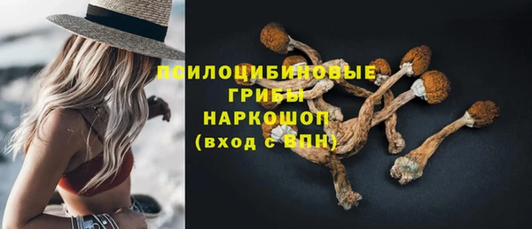 ECSTASY Аркадак