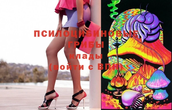 spice Армянск