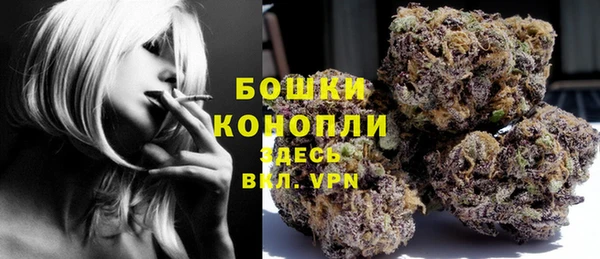 spice Армянск