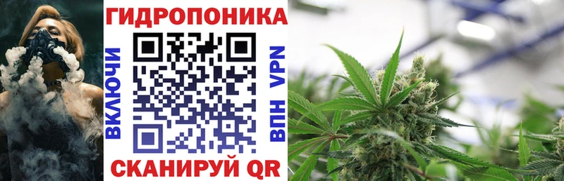 цена   kraken ONION  Каннабис Amnesia  Омутнинск 